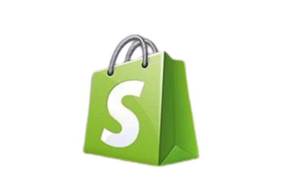 Shopify Partner